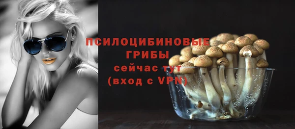 эйфоретик Дмитриев