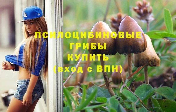эйфоретик Дмитриев