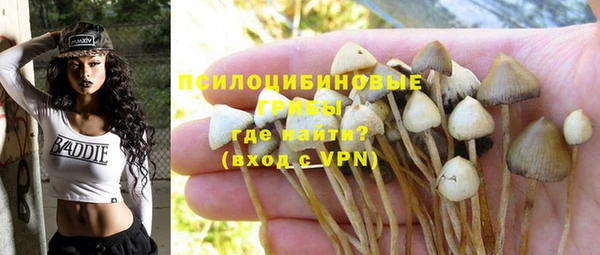 эйфоретик Дмитриев