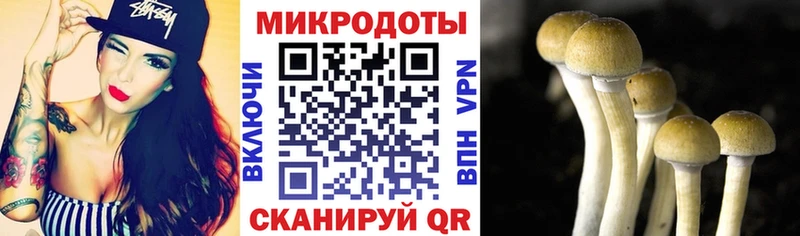 Галлюциногенные грибы мухоморы  Купить закладки  Полтавская 